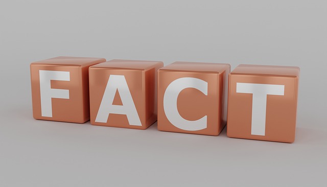 2025  BLOG 4  TRUTH  pixabay