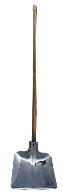 BLOG 3 GARDEN SHOVEL  pixabay