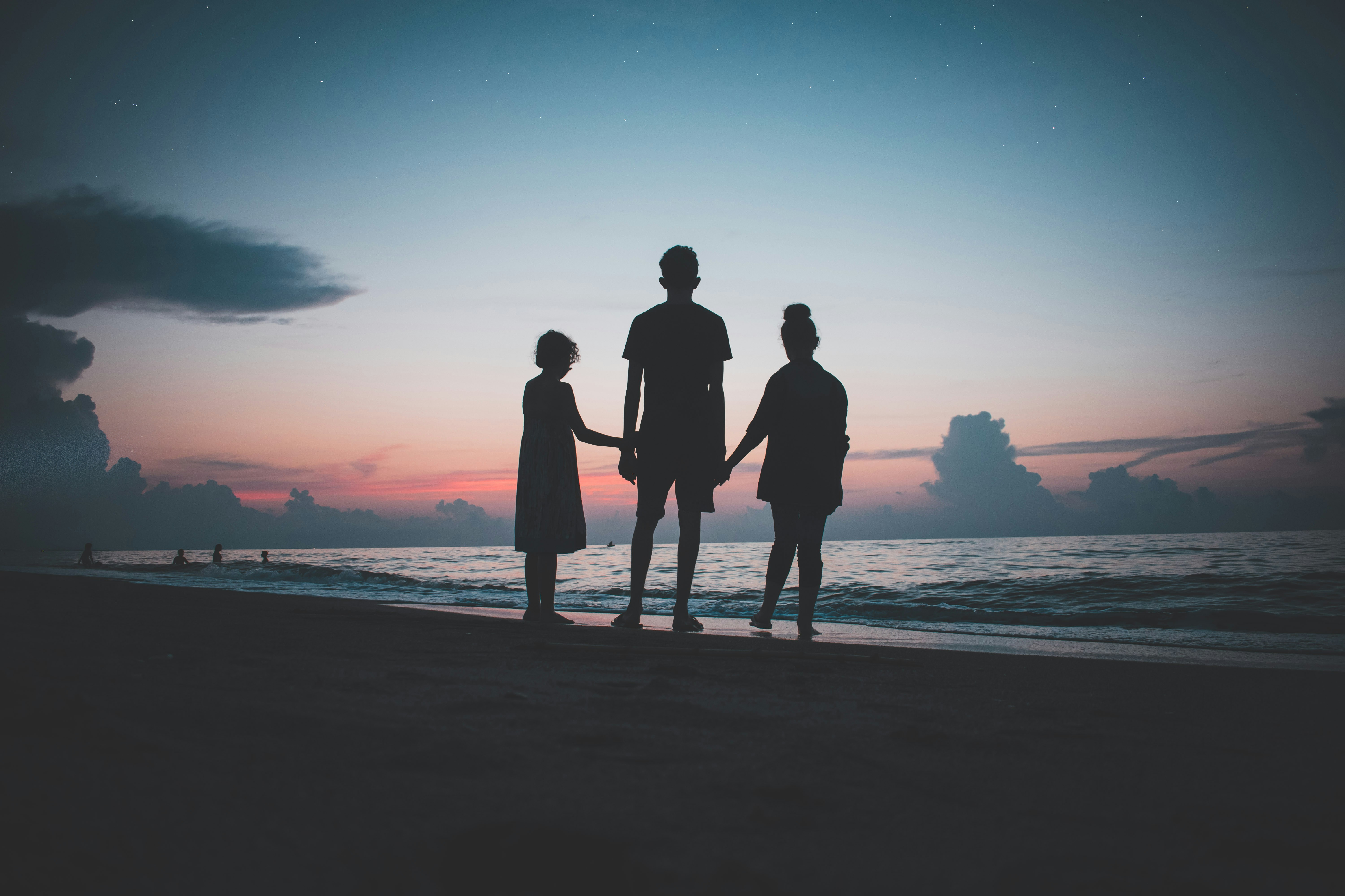 Blog 8  Explain 2 family   by kylo unsplash