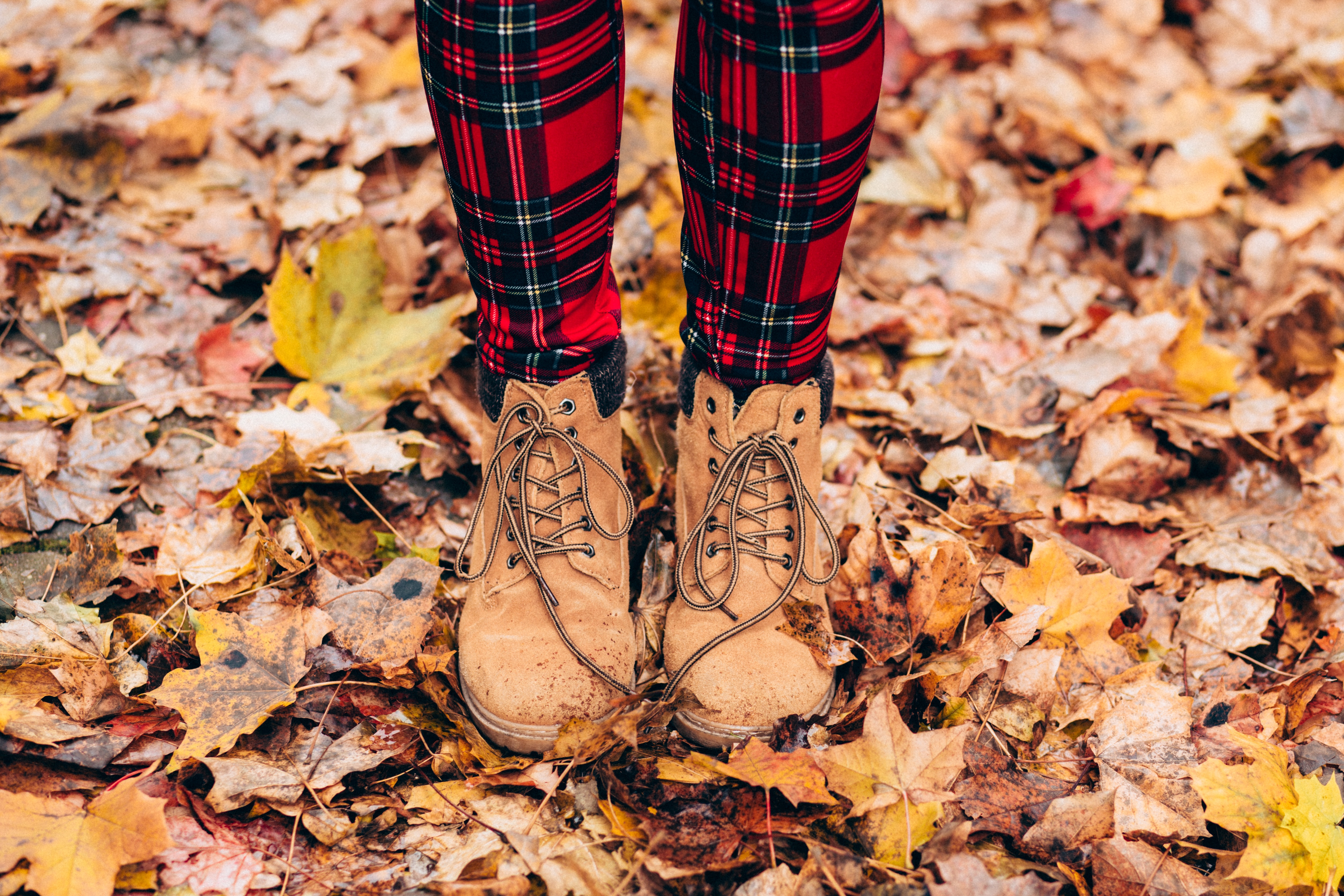 Stretch BLUE PLAID 1 .Unsplash